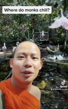 A TikTok post by Venerable Tri Dao. (Video screen grab)