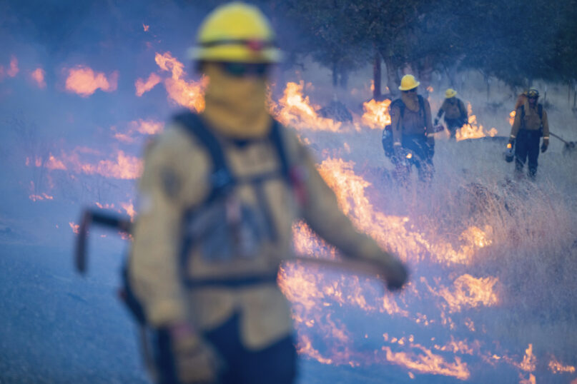 Fire crews light a burn operation along Highway 36 to slow the Park Fire near Dales, Calif., July 29, 2024. (AP Photo/Nic Coury)