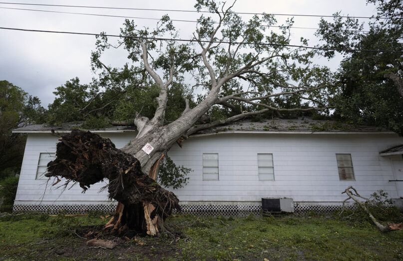 An upended tree rests on Bethel Church after Hurricane Beryl moved through the area, July 8, 2024, in Van Vleck, Texas. (AP Photo/Eric Gay)