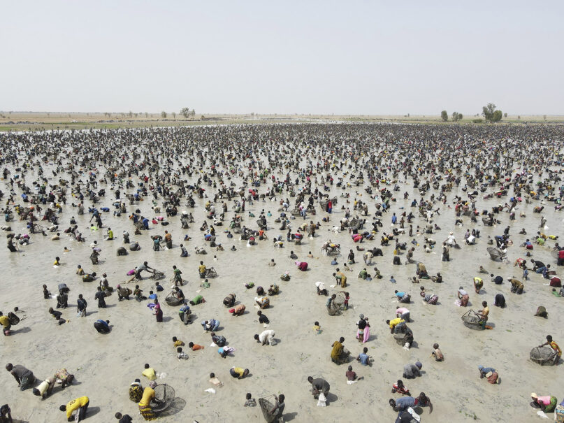 Thousands of fishermen fill a large muddy pond and cast their nets in the southern Mali town of San, June 6, 2024, for Sanké mon, a collective fishing rite that begins with animal sacrifices and offerings to the water spirits of Sanké pond. For several hundred years, people have gathered for the rite, which is on UNESCO's list of intangible cultural heritage. Heat waves in Mali in recent years have caused the pond to start drying out. (AP Photo/Moustapha Diallo)